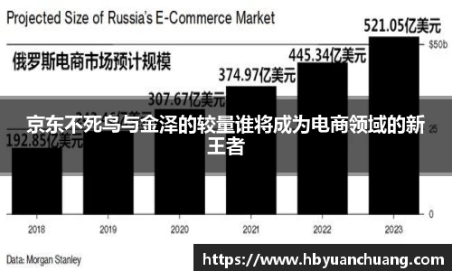 京东不死鸟与金泽的较量谁将成为电商领域的新王者