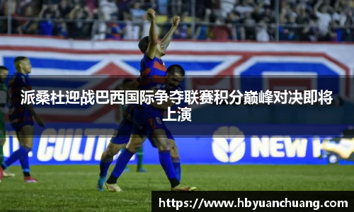 派桑杜迎战巴西国际争夺联赛积分巅峰对决即将上演