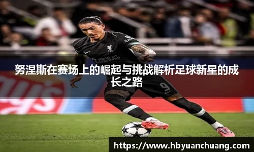 努涅斯在赛场上的崛起与挑战解析足球新星的成长之路